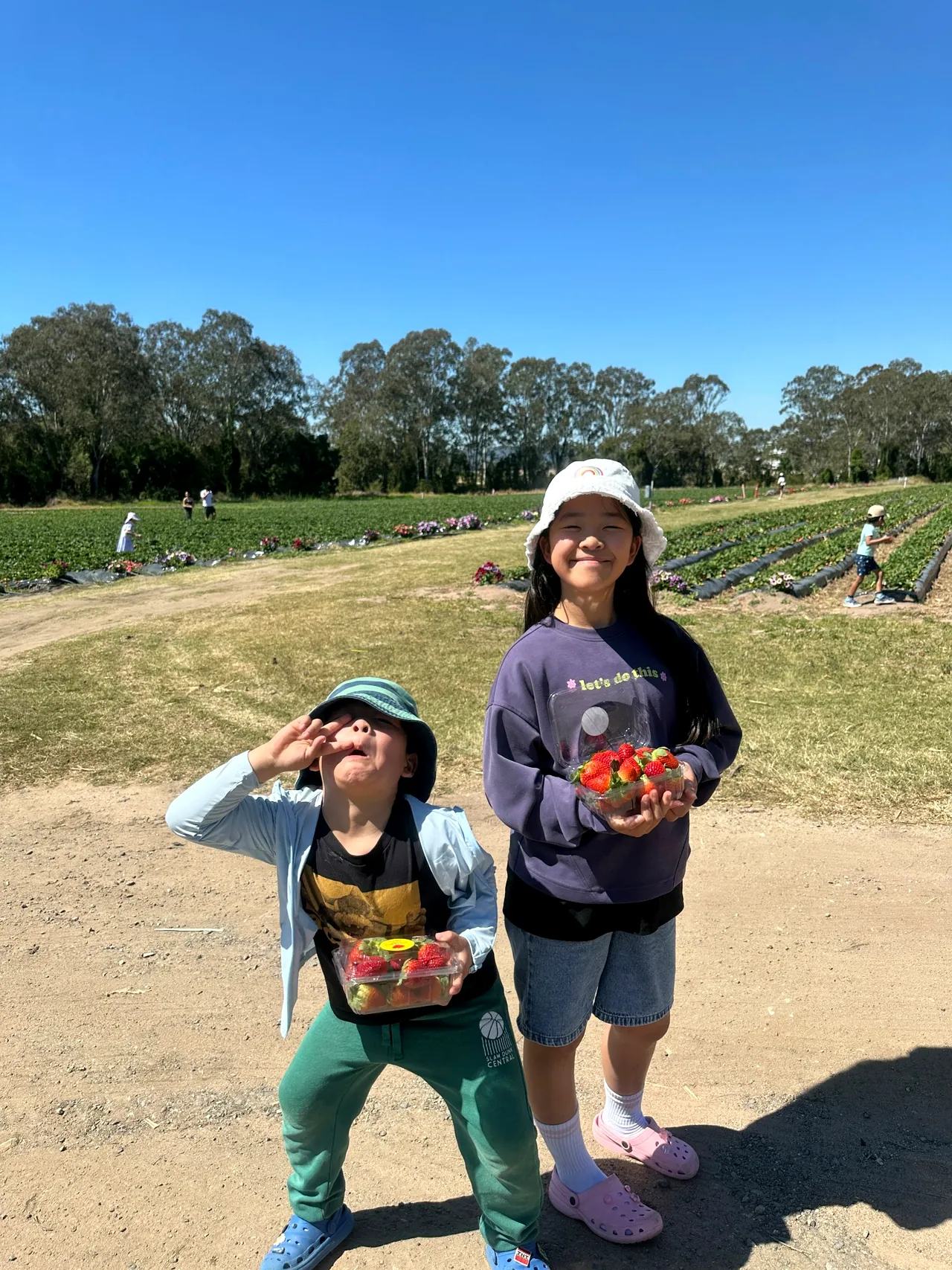 Chambers Flat Strawberry Farmで摘んだいちごを持つ子どもたち