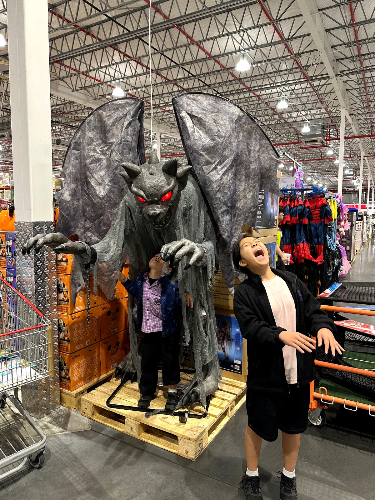 Costco Gold Coastのガーゴイルディスプレイと子ども